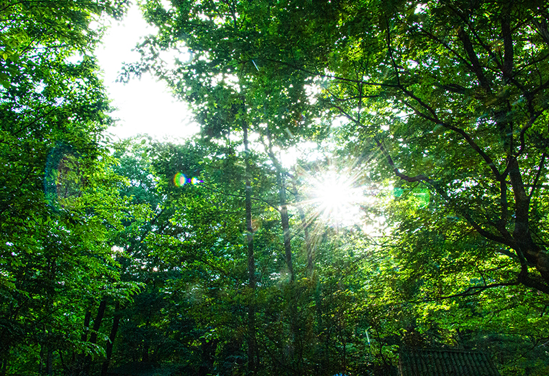 ぽんぽこの森ファミリーキャンプ場のトイレ情報サイト キャンプトイレなう