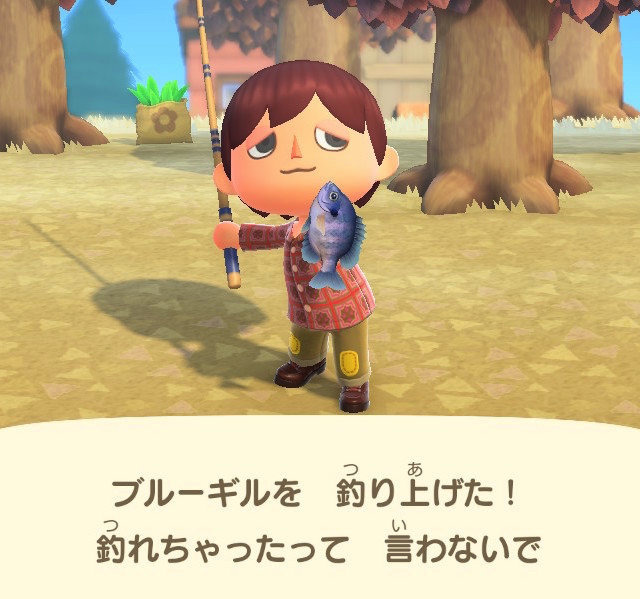 あつ森 池の判定とおしゃれな池の作り方 あつまれどうぶつの森 ゲームエイト