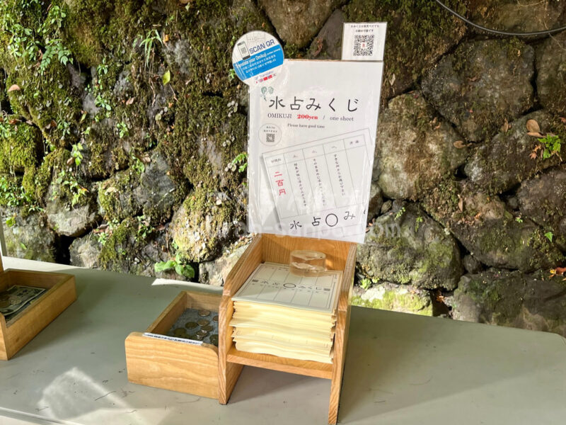 貴船神社編3 あら不思議っ！ ご神水に浮かべると運勢が出てくる「水占みくじ」 - 京都