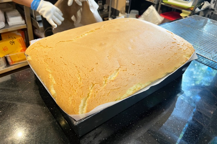 スパリゾートハワイアンズシンディ アンテナ“極めない”日々