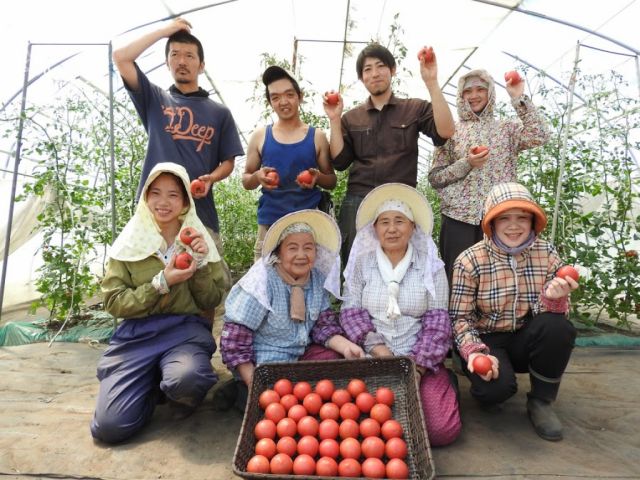 楽天市場】北海道産直 送料無料（沖縄離島は別途送料）トマトジュース 食塩無添加 ストレート