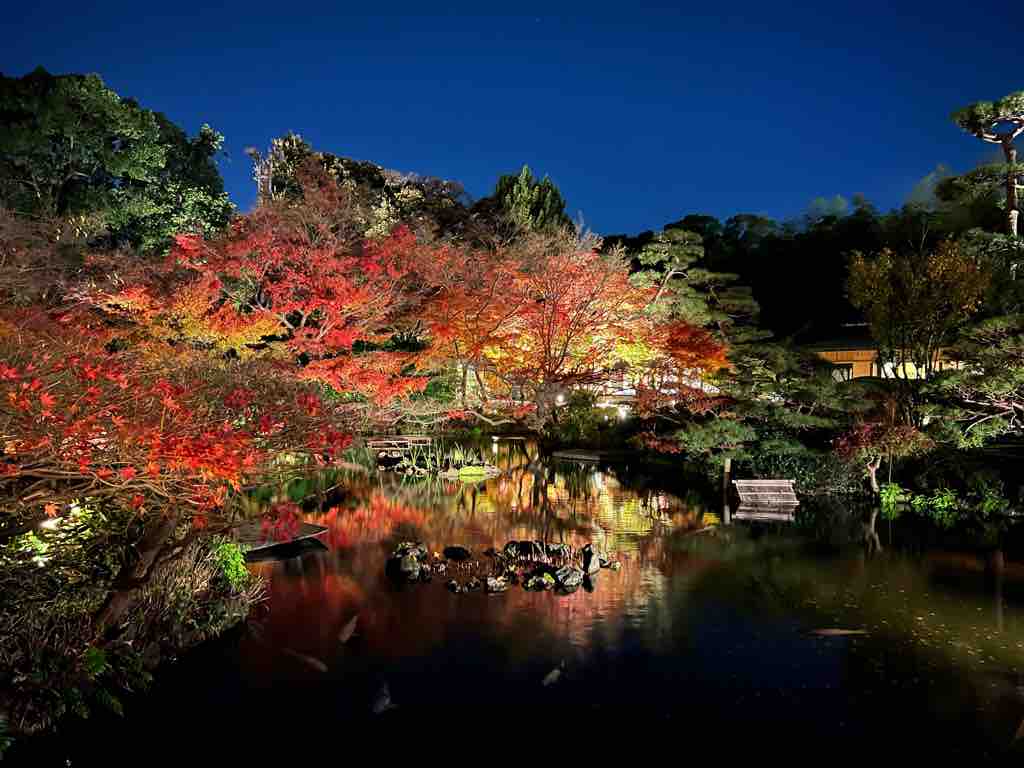 り ん ๑˃̵ᴗ˂̵