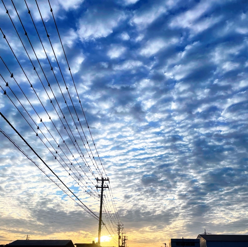 月島 えれな |