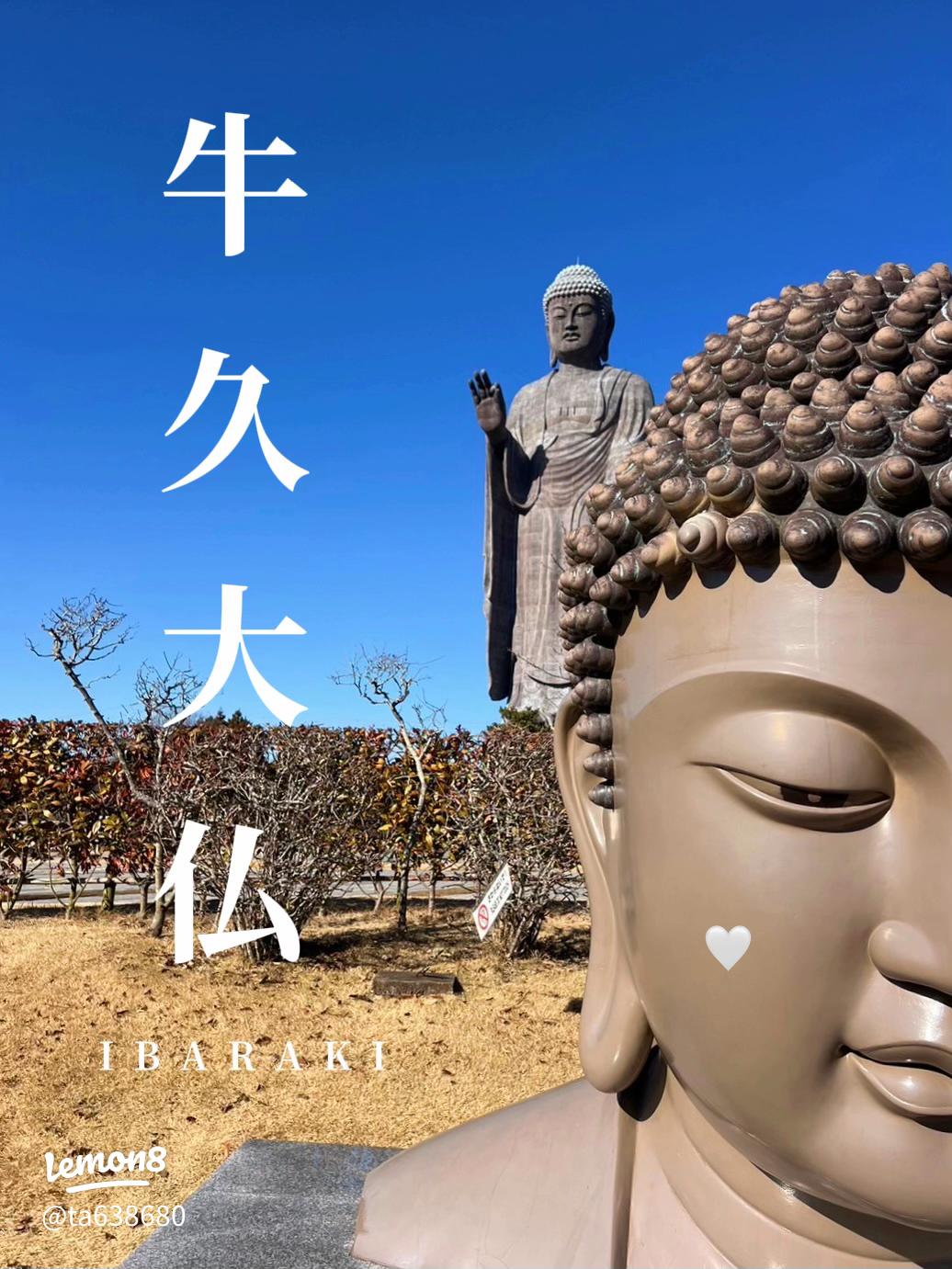 高さ１２０ｍの大掃除 茨城県の「牛久大仏」 - 産経ニュース