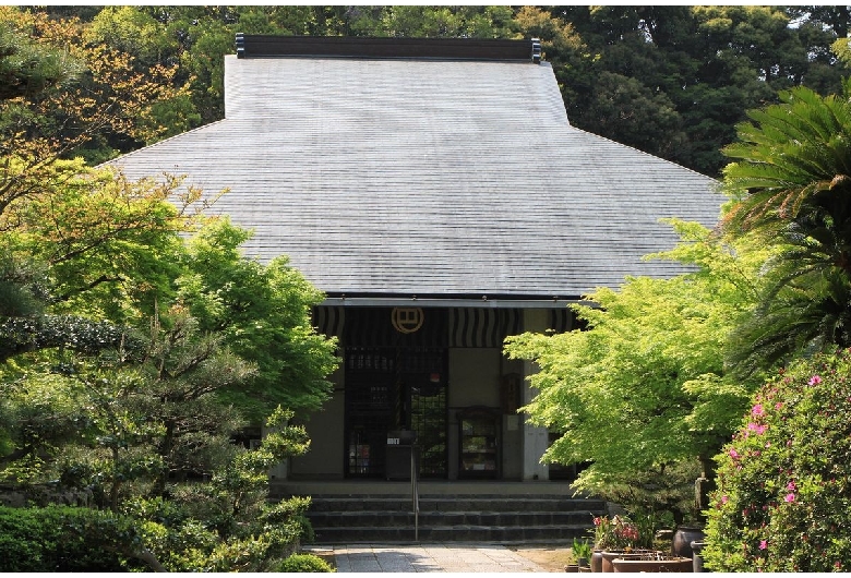 美しい風景に癒やされるカフェ体験！名張市のおすすめスポットを紹介