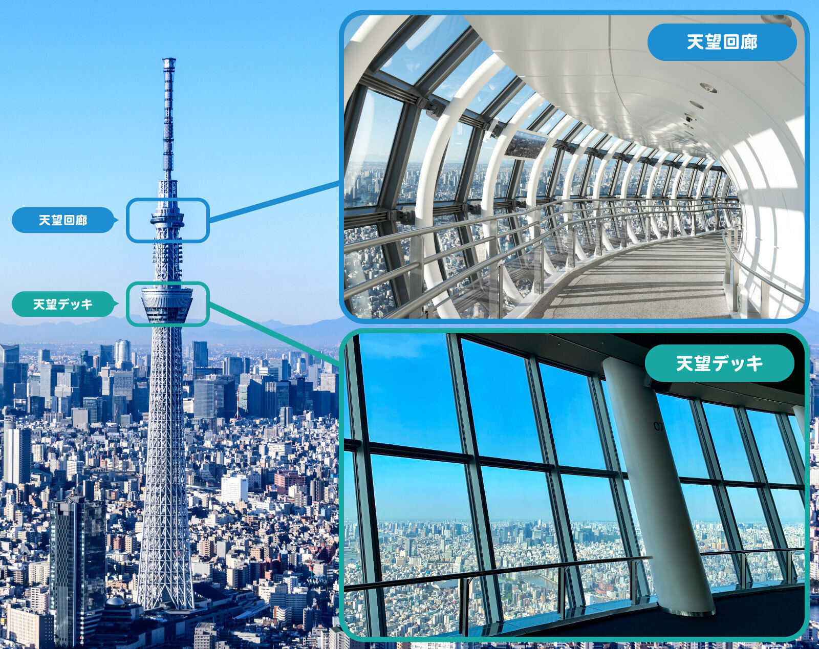 東京スカイツリーは予約が必要？料金＆割引情報まとめ！安く入場するには