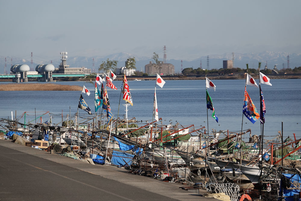 桑名の名産はまぐりが食べられる！「第20回 赤須賀漁業まつり」、７月６日に開催株式会社ポニーキャニオンのプレスリリース