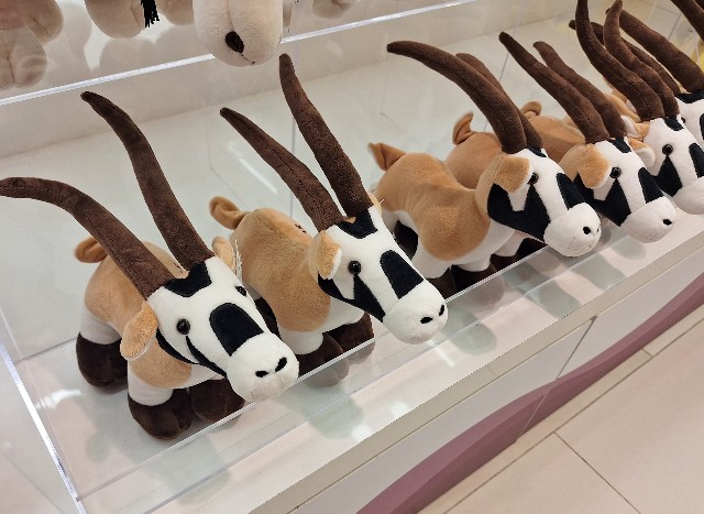 広すぎ！ドーハ ハマド国際空港での過ごし方5選モロッコ百科