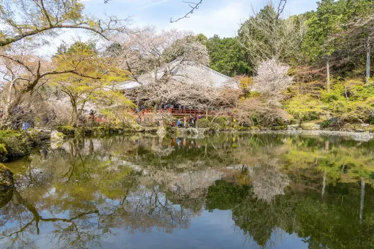 春 3月～5月 の京都の魅力を存分に味わうスポットを紹介JR東海ツアーズ 新幹線旅行の予約 EX旅パック