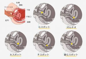 性感帯とは。意味や男女の性感帯の場所を解説【医師監修】｜「マイナビウーマン」