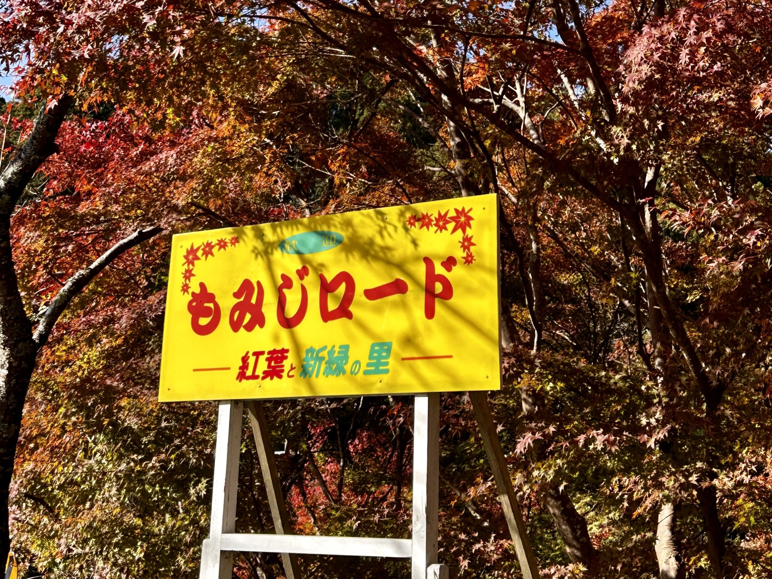 房総半島 交通取締り事情④ もみじロード 1感じて