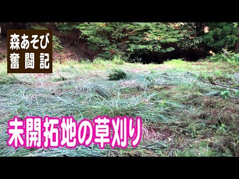 観光未開拓地、南イタリア プーリア地方ERIKO