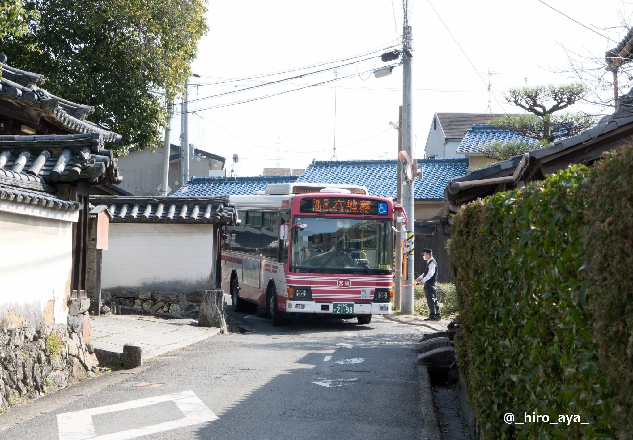 日野誕生院京都京阪バス8系統、京都市伏見区フレースエーの草花のブログ