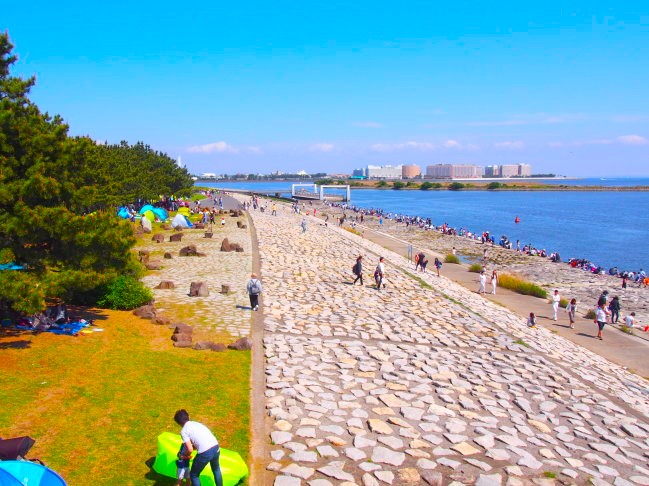 葛西臨海公園】＜7/14㈮～8/13㈰まで＞大観覧車を背景に約３万本のひまわりをライトアップ！夏の葛西臨海公園で「花と光のムーブメント」開催。 |  NEWSCAST