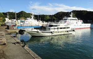 グレ狙いで高知県 沖ノ島遠征 – 株式会社バリバス