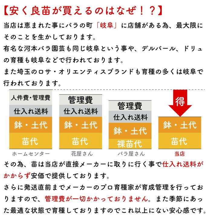 岐阜市】ランチも楽しめる！8月10日オープン予定の日本酒専門店は名古屋の人気店の2号店だった | 号外NET