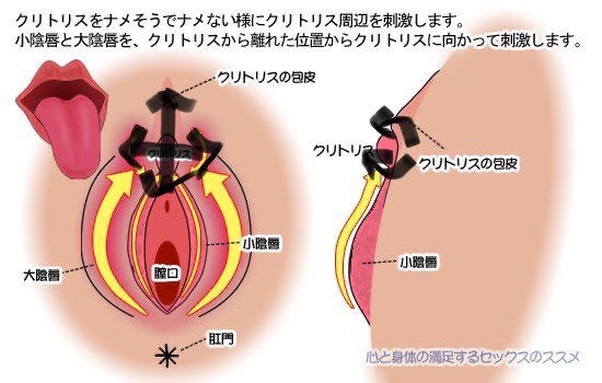 クリトリス系性感帯 Uスポットの開発と刺激方法 上級者編 |