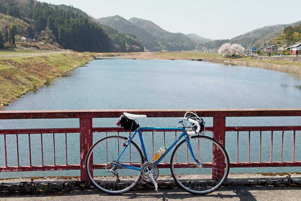 彼岸花の乱」は不発だったけど… | CanCanの気楽な一日