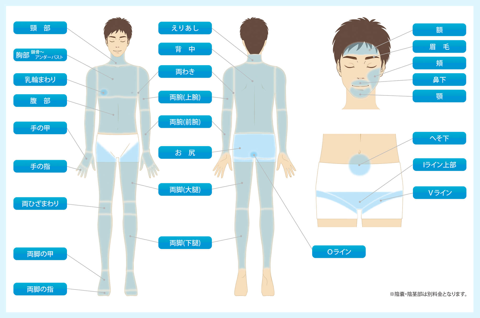 脱毛照射部位一覧 | 医療レーザー脱毛なら東京イセアクリニック