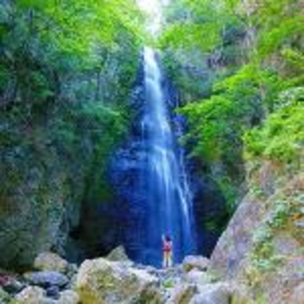 五日市線沿線に活気を 開業100周年、イベント続々 観光・交流 新施設も