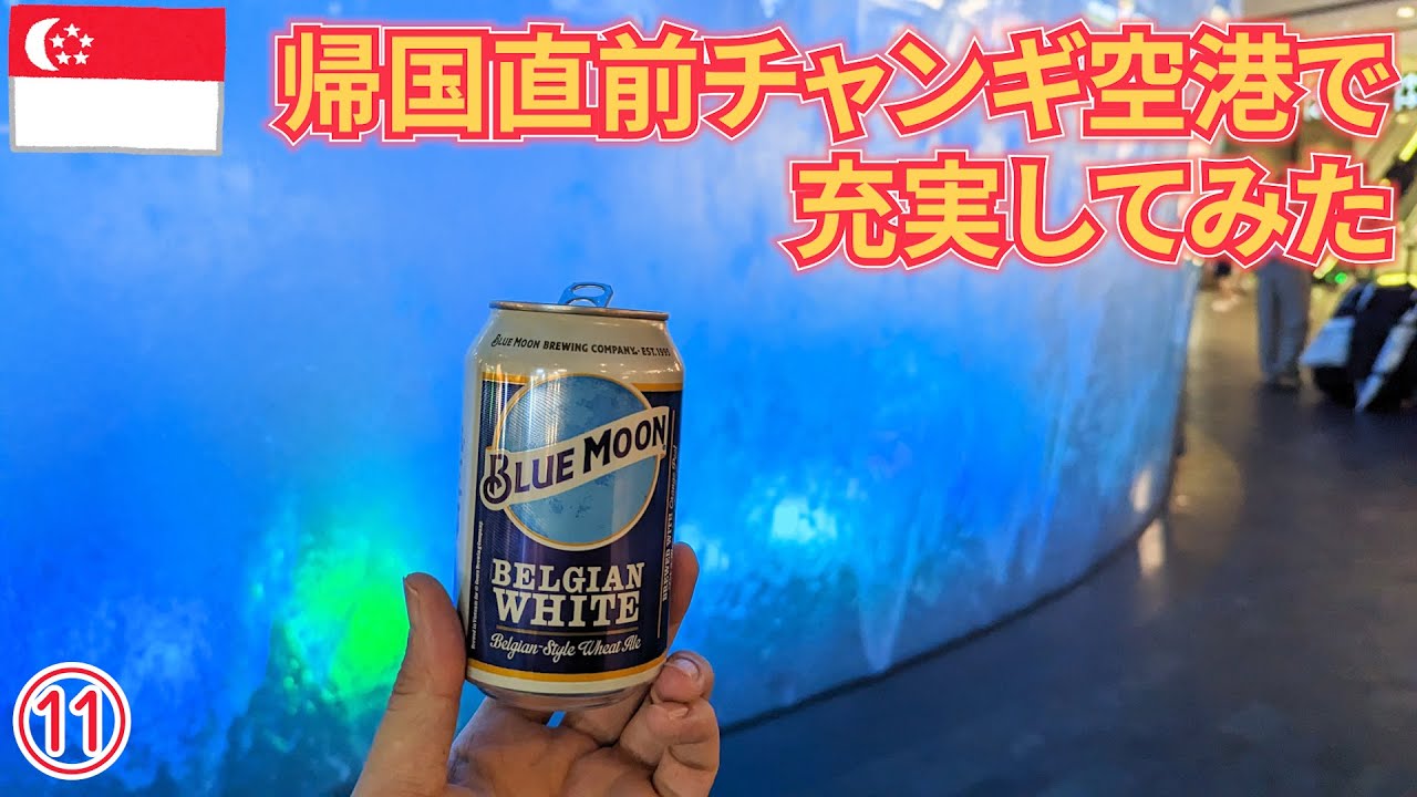 買い物にも困らない！チャンギ空港直結ジュエル・チャンギ・エアポート徹底解剖 〜シンガポール土産編〜たびこふれ