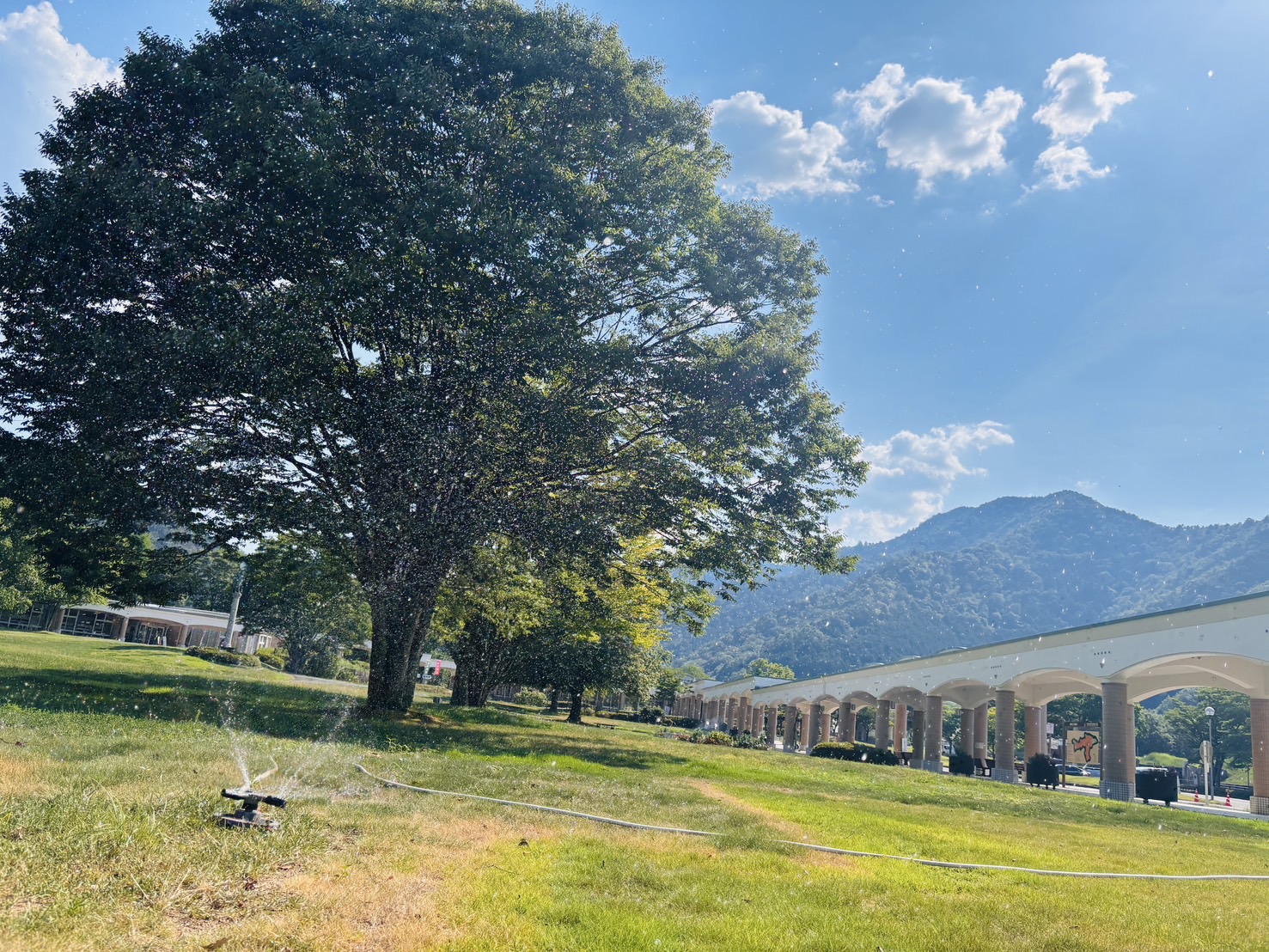 スタッフブログお食事処 湖水亭