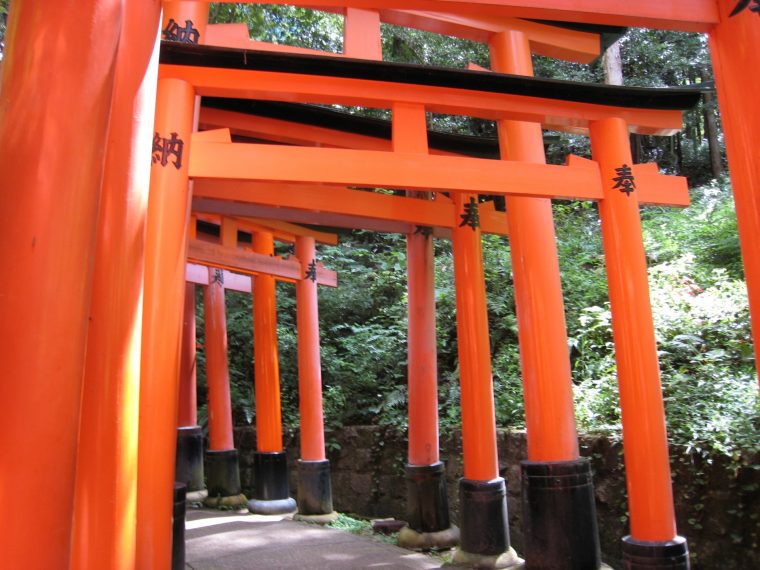 赤い鳥居が連なる全国の絶景神社7選！千本鳥居など美しい景色を楽しもうZEKKEI Japan