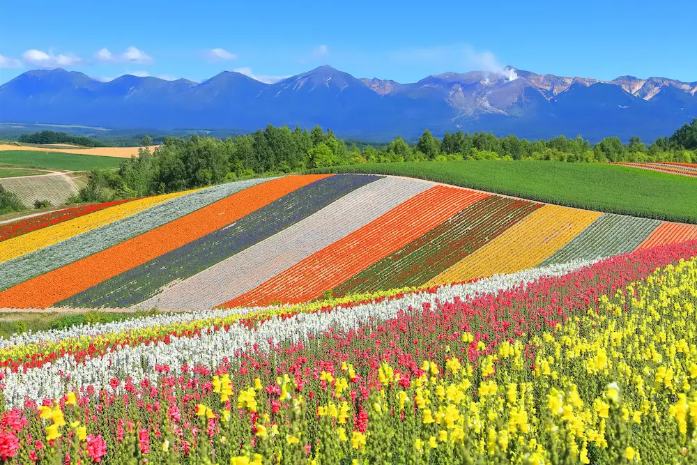 2024年7月最新 9月の北海道観光モデルコース！紅葉シーズンを満喫する絶景スポット巡り -