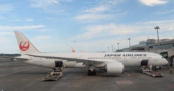 飛行機のシートベルトを外す。平面でシートベルトを開きます。機内に座り、離陸を待つ間に安全ベルトを着けた乗客。計画を立てながら旅行をする上で、安全な旅行が重要です。」の動画素材 ロイヤリティフリー 1082161064Shutterstock