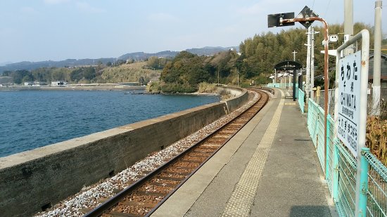 本千葉駅 3- おとなのえんそく