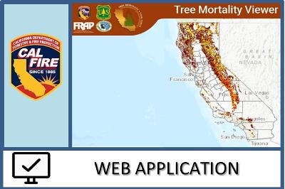 アメリカの森林火災なるほど話DOWAエコジャーナル