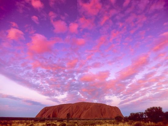 地球のへそ!! ウルル-カタ・ジュダ国立公園内を散策してきた。～世界の歩き方～It's a