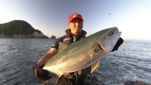 南伊豆沖磯 青物トップとロックフィッシュゲーム！！タックルオフ工房釣具のイシグロ釣り情報サイト