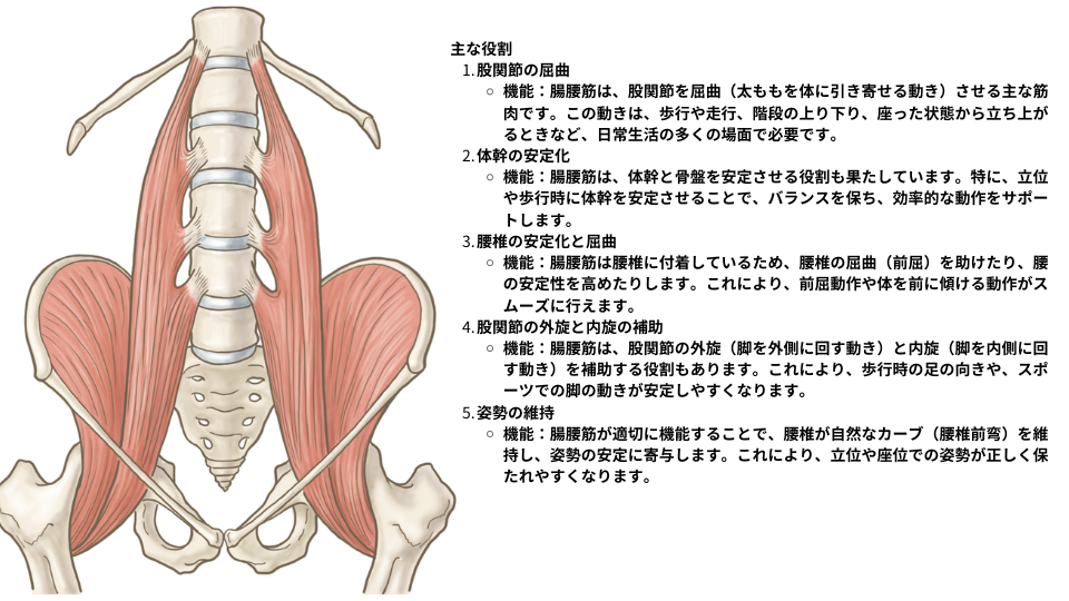 小児の鼠径ヘルニアとは？ ――症状や親御さんに注意いただきたいポイント | メディカルノート