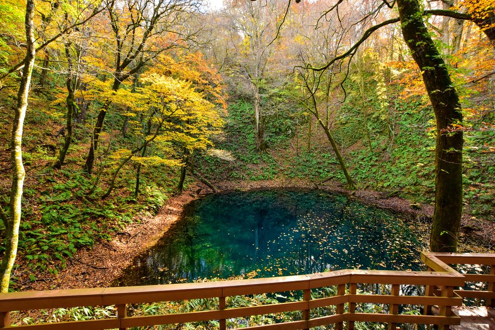 圧倒的な美しさの青池と33の湖沼群 - 十二湖の森