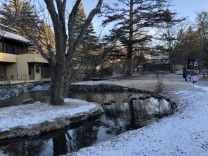 軽井沢で楽しむ冬の子連れ旅行2025 年のリアルなLemon8ユーザー体験