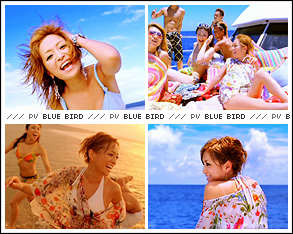 ZC15460【中古】【CD】BLUE BIRD/浜崎あゆみ Ayumi Hamasaki(DVD付き)