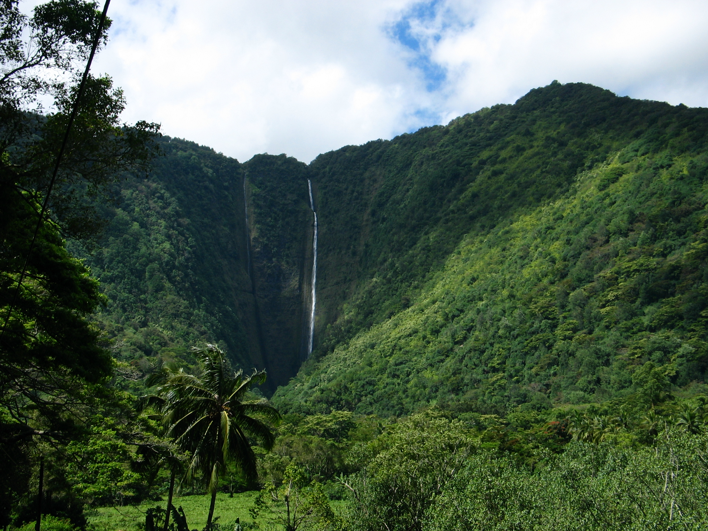 2024年最新ハワイ島 半日観光におすすめ！ワイピオ渓谷とホノカアの町散策モデルコースSFBliss