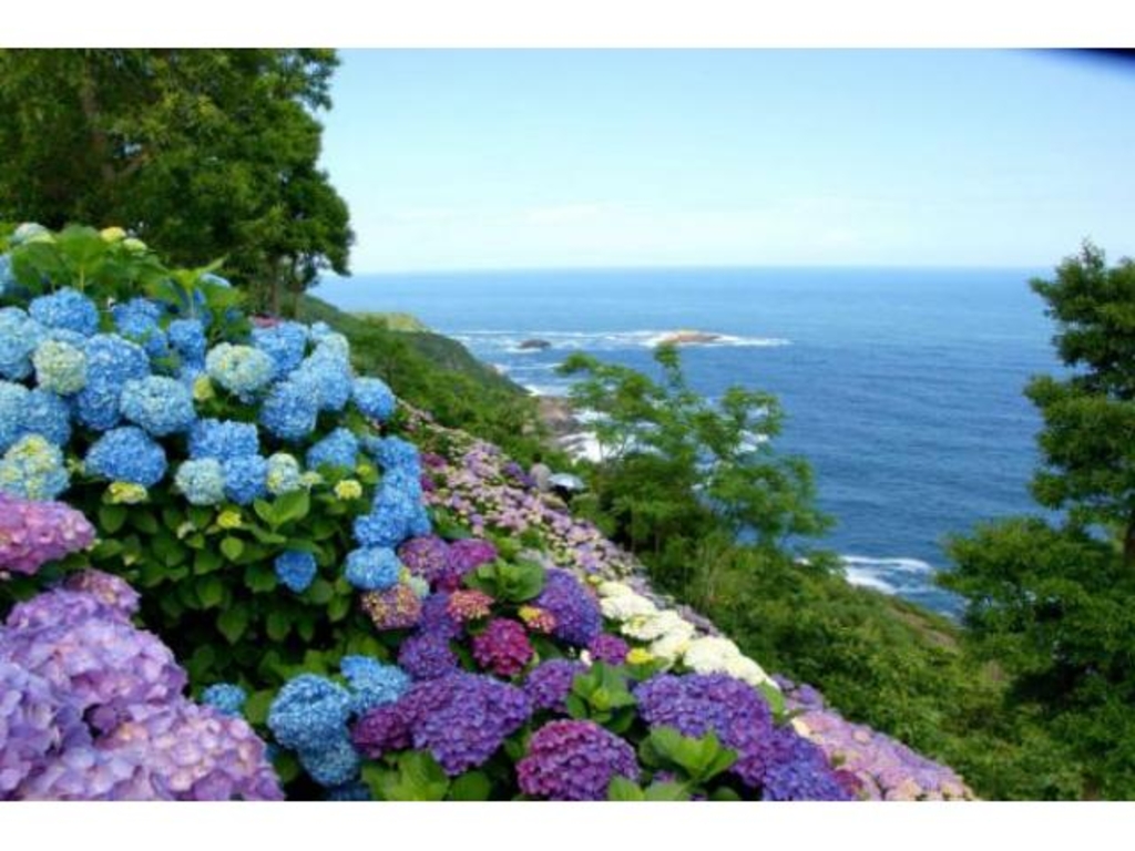 油絵 油彩 油彩画