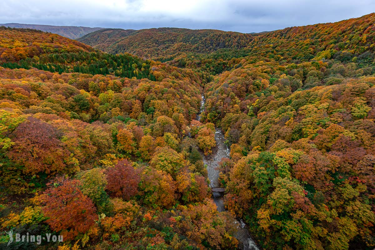 青森│城倉大橋：綿延不盡紅葉美景，賞楓推薦交通停車＆順遊景點-輕旅行