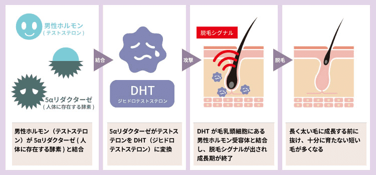 自慰行為VSオナ禁　メリットが多いのはどっち？？　 ~生理学・心理学・脳科学の観点から解説~