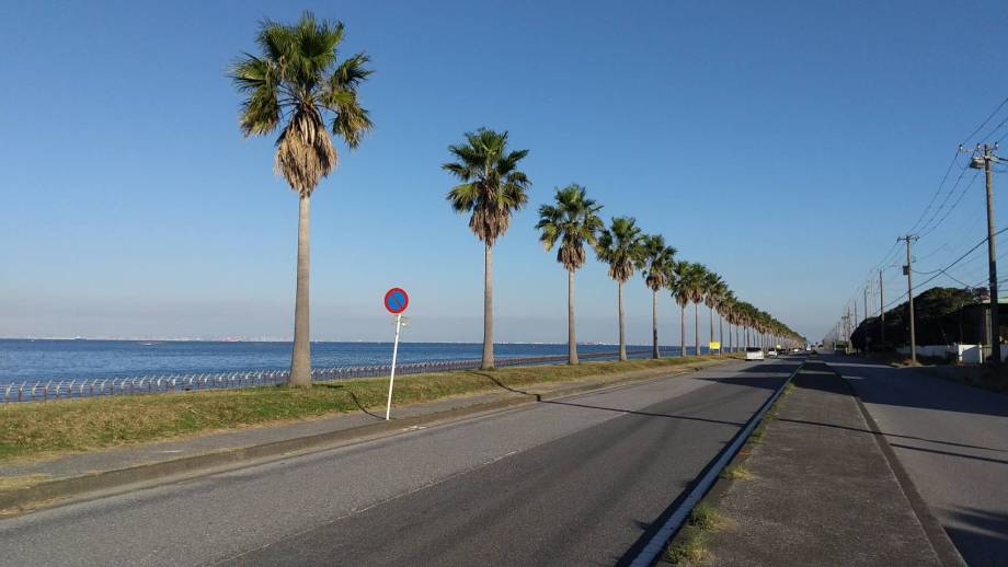 絶景ドライブルート 陽光が眩しい半島南端の海岸道路 千葉県南房総市クルマ情報サイトｰGAZOO.com