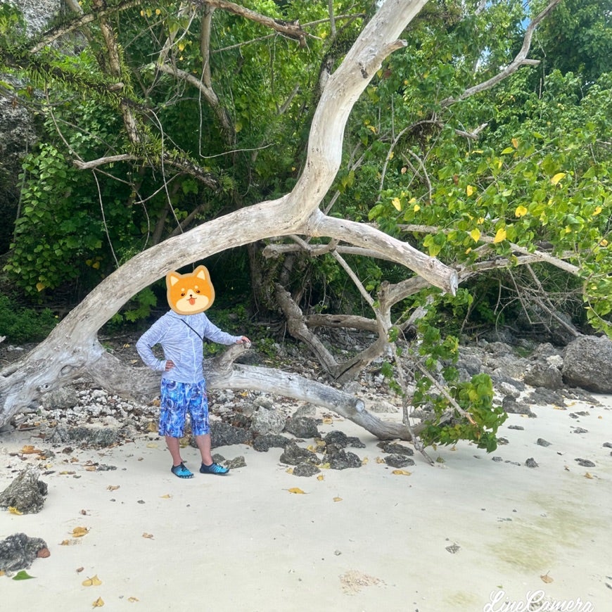 グアムのおすすめビーチ9選！ビーチ沿いのバー＆ホテルも厳選NEWT ニュート