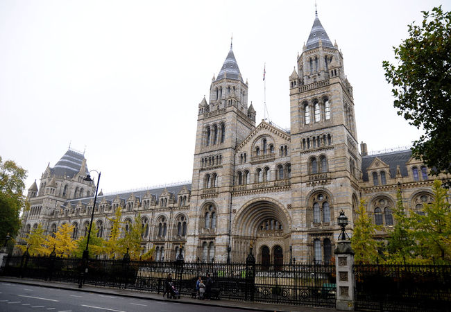 ロンドンの自然史博物館： プライベートガイド付きツアー 2025