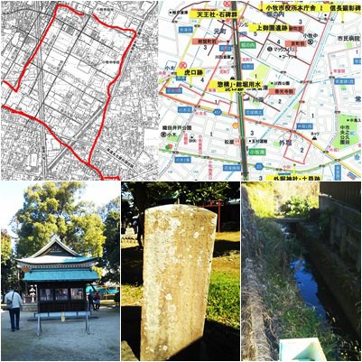 小牧市 AKARENGA GARDEN で蒸し野菜ランチがおすすめ!映えるアフタヌーンティーも人気いぬやまにあ