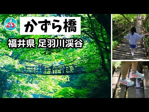 福井の穴場を楽しもう！絶景のドライブスポット18選特集福いろ福井市公式観光サイト 名所 グルメ お土産