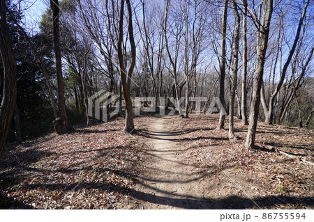 唐沢山・諏訪岳ハイキング。好展望の古城跡に登ってみた！ 栃木県佐野市Mitchie Mのブログ