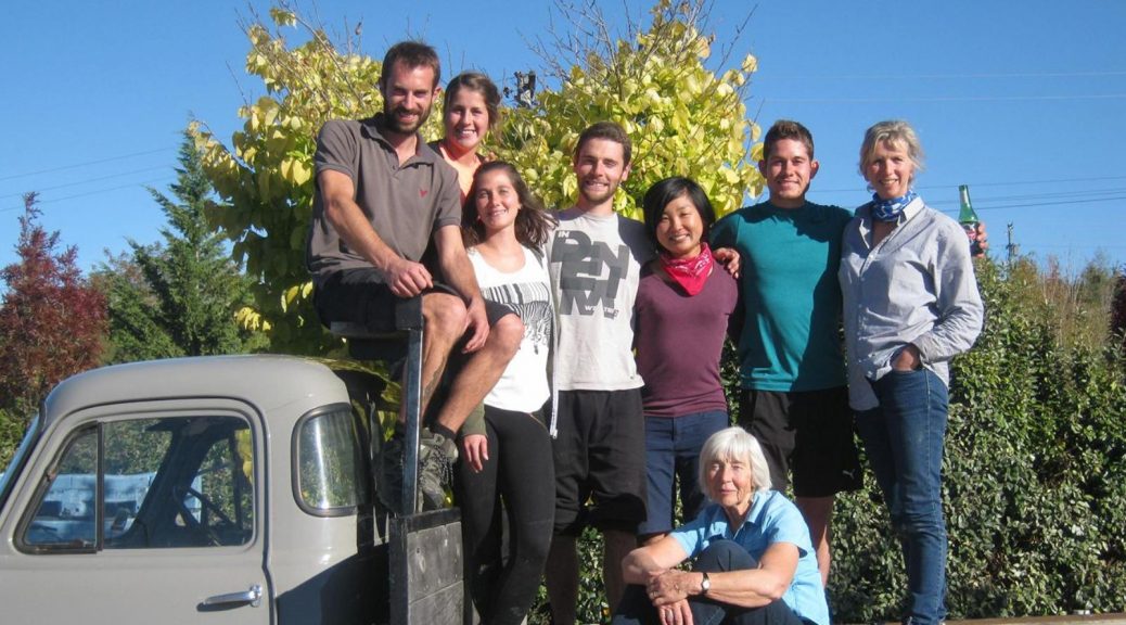 ニュージーランドのファームジョブで月60万円稼いだ方法10万円でNZワーホリ