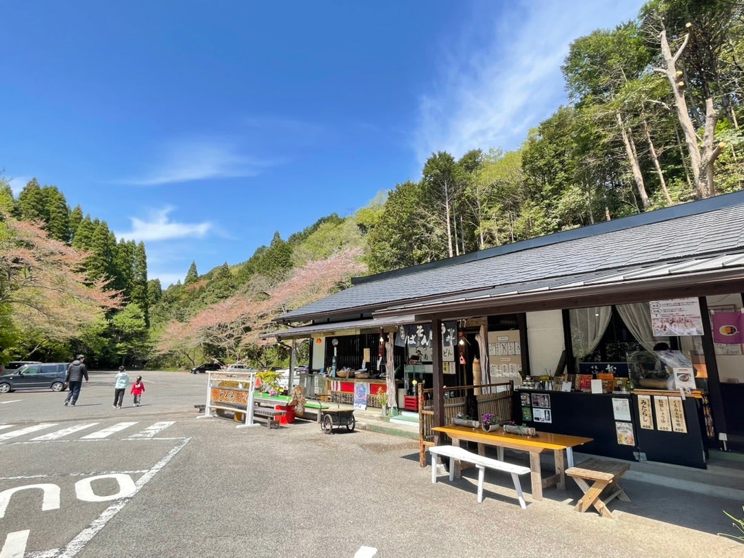 大多喜城のアクセスや見どころ 天守閣、薬医門など を紹介！やっちんのお城ブログ