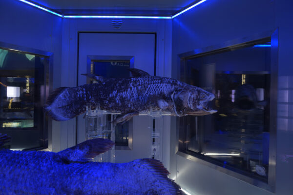 静岡市で楽しむデートスポット！カップルの定番から穴場までHinotori